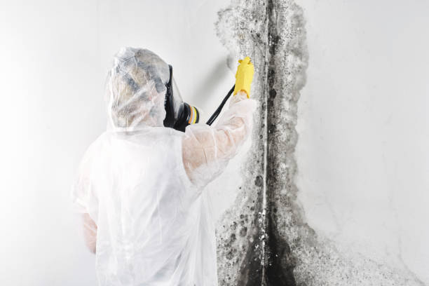  , USA Water damage restoration Pros